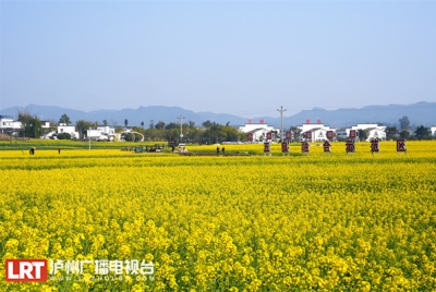 上万亩油菜花迎春盛开 乡村美景如画来