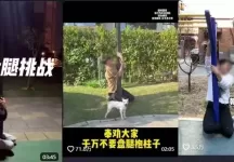 多人“跪”在街头紧急报警！关键提醒
New
