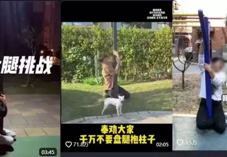 多人“跪”在街头紧急报警！关键提醒
New
