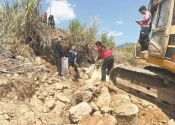 福建一地修河堤挖出3条大蟒蛇，最大一条长4米重50多斤