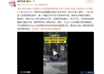 边牧扑倒长者致骨折犬主因拴绳拒赔
New
