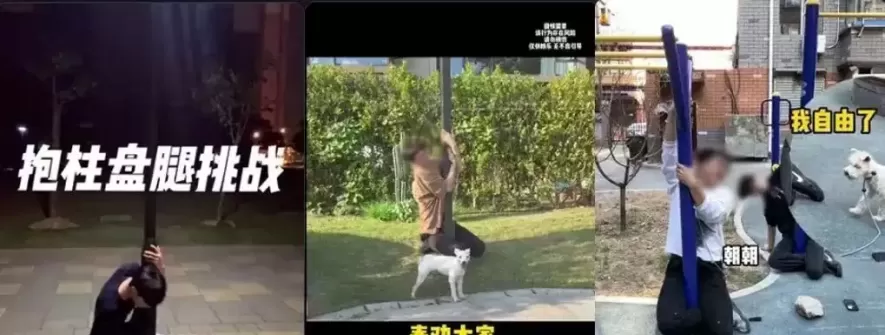 多人“跪”在街头紧急报警！关键提醒
New