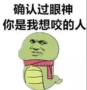 092151ywtstpto5zozctsh.jpg.thumb.jpg