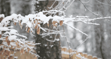 640?wx_fmt=gif.jpg