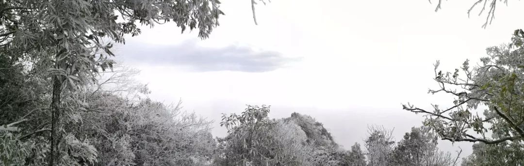 640?wx_fmt=jpeg.jpg