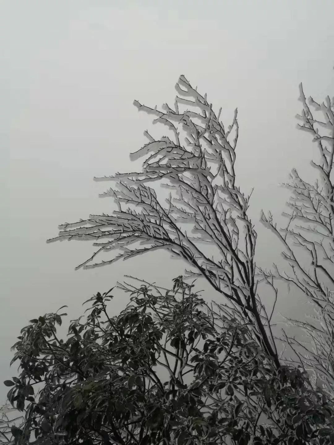 640?wx_fmt=jpeg.jpg