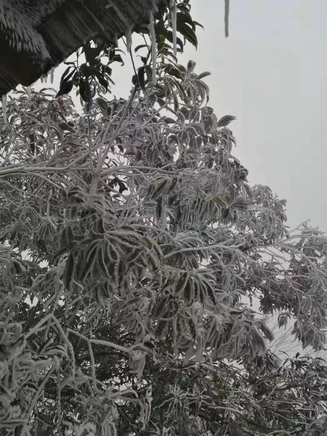 640?wx_fmt=jpeg.jpg