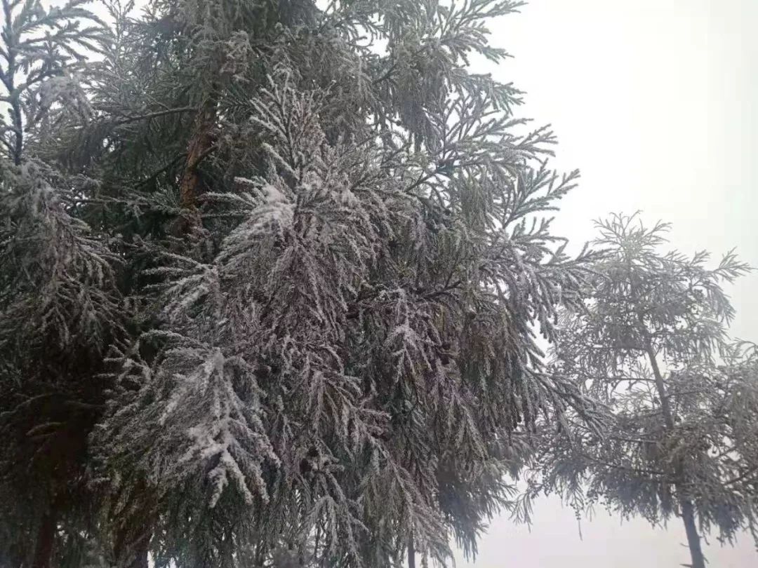 640?wx_fmt=jpeg.jpg
