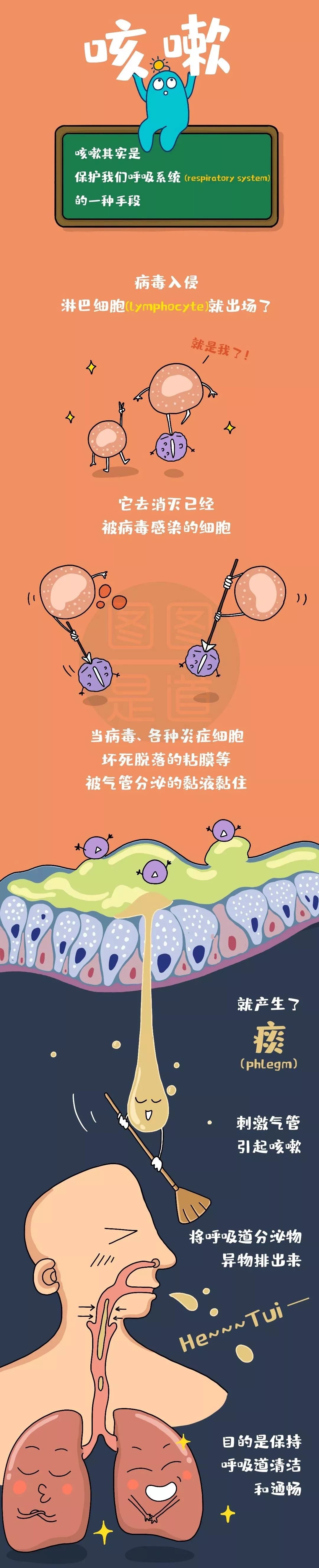 76fc528b7fd54ad0ab99580c11a76492.jpg