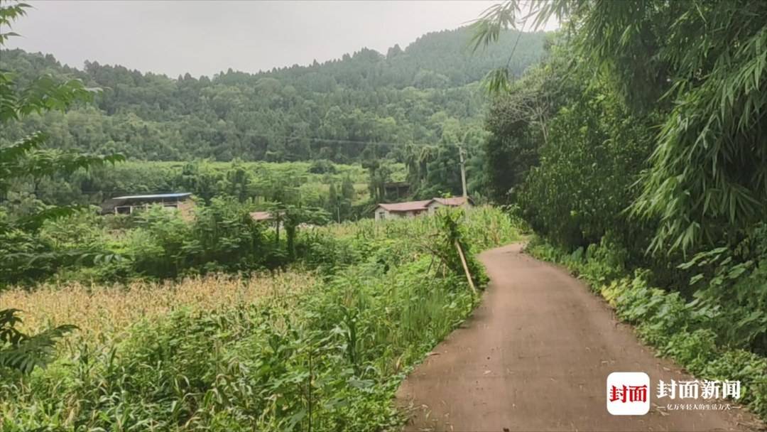 四川中江男子离婚路上“杀妻” 邻居：凶手常年在外打工，给人印象老实巴交-5.jpg