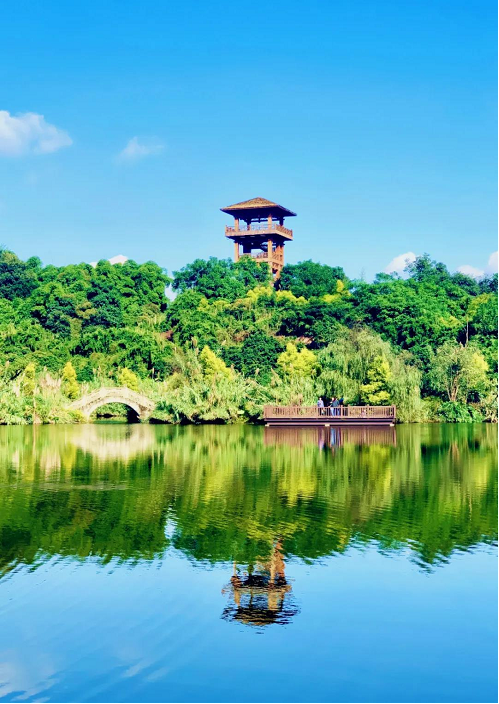 泸州专属屏保，被定格的城市光影-4.png