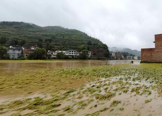 泸州遭遇暴雨袭击，紧急转移安置800人！-1.png