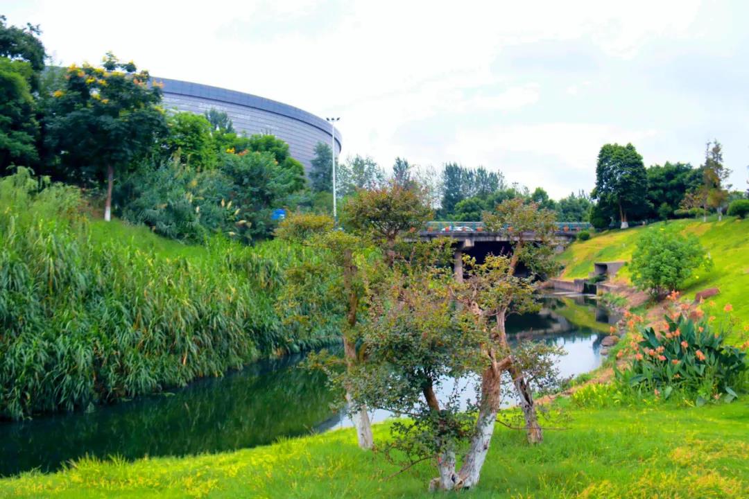 已建设海绵城市32.12平方公里 泸州将打造川内海绵城市典范-4.jpg