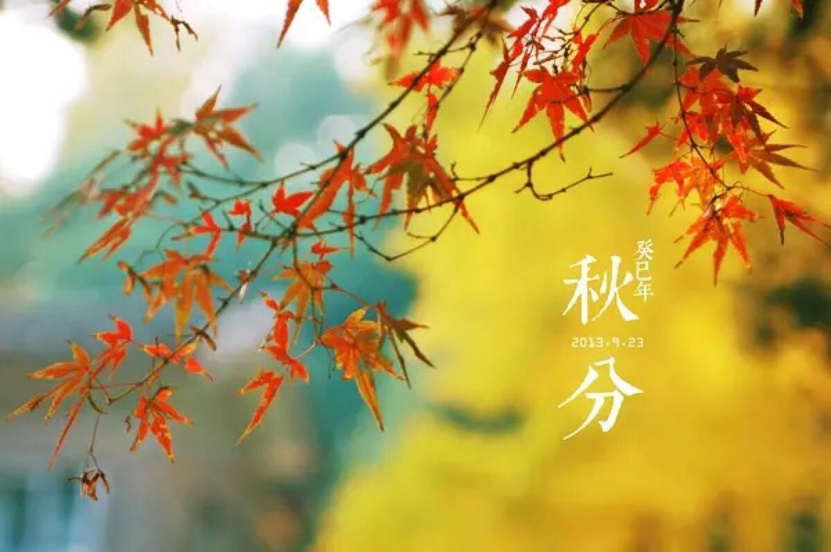 雨水继续“霸屏” 阳光偶尔“在线” 本周酒城天气将是晴...-1.jpg