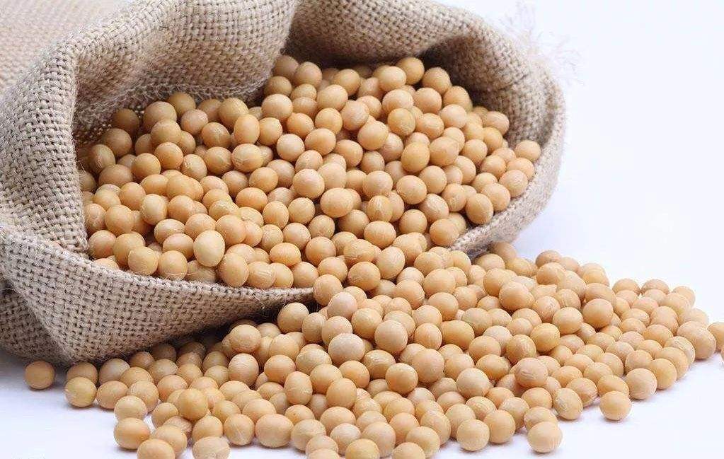 泸州进口粮食加工企业年产能预计破100万吨-1.jpg