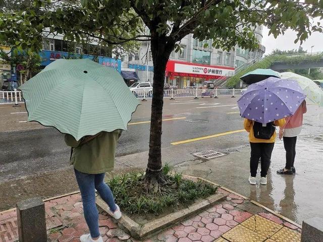 今天的泸州冷到16C°！悄悄告诉我，你的秋裤准备好了吗？-2.jpg