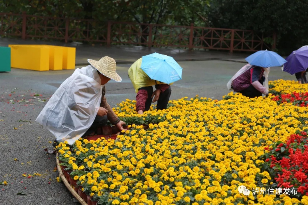 第十五届中国国际酒业博览会开幕在即，80余万盆鲜花扮靓...-4.jpg