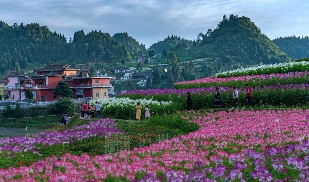 泸州唯一！叙永再添旅游“新名片”：摩尼镇获“四川生态气候标志”授牌-4.jpg