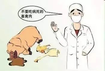 售卖病（死）牛（肉）， 泸州7人获刑受罚-1.jpg