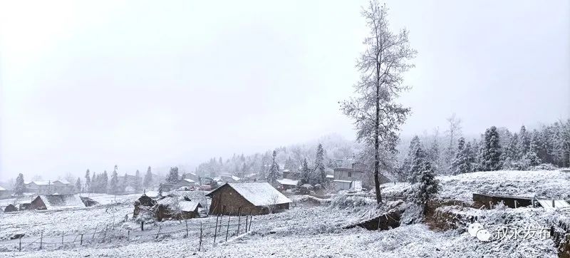 一步一景，满眼惊喜！泸州多地迎来降雪-5.jpg