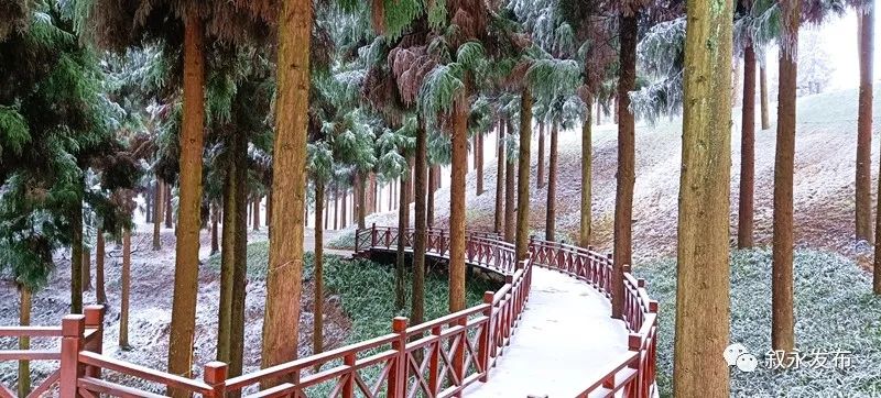 一步一景，满眼惊喜！泸州多地迎来降雪-4.jpg