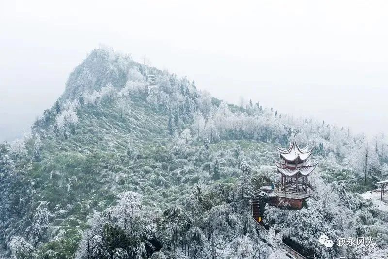 一步一景，满眼惊喜！泸州多地迎来降雪-8.jpg
