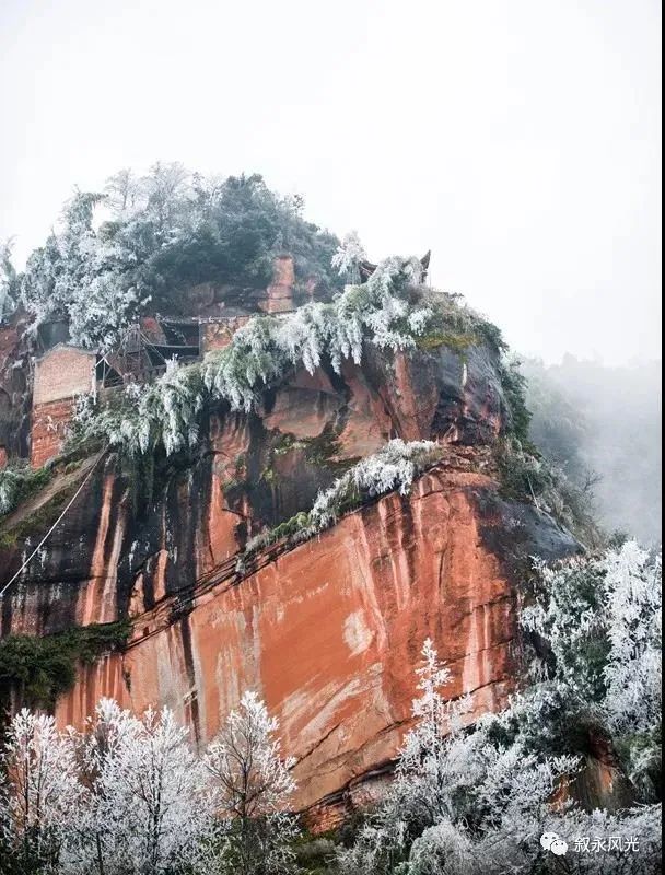 一步一景，满眼惊喜！泸州多地迎来降雪-13.jpg