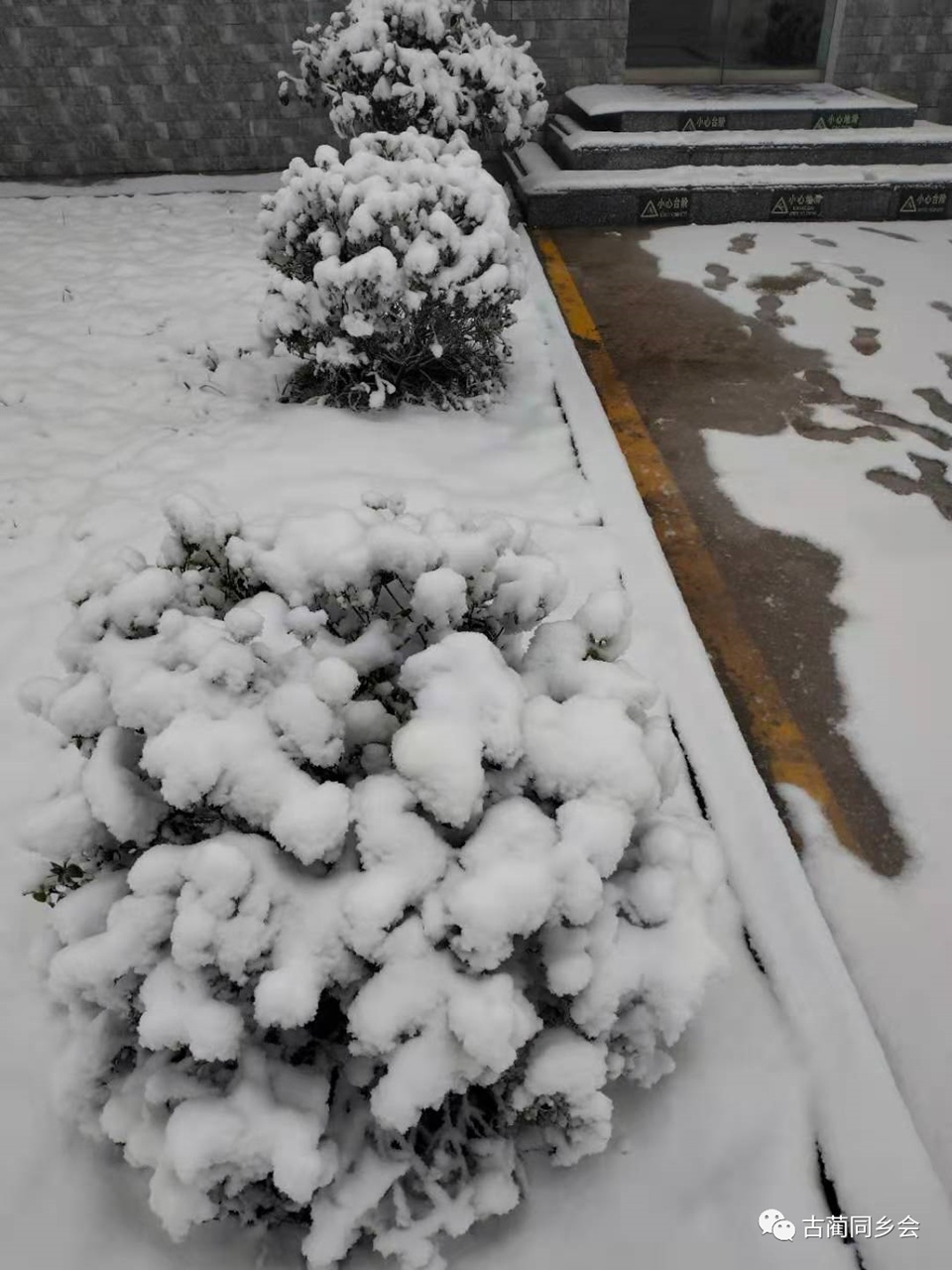 一步一景，满眼惊喜！泸州多地迎来降雪-18.jpg