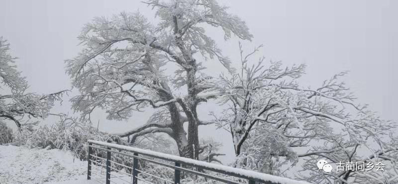 一步一景，满眼惊喜！泸州多地迎来降雪-22.jpg