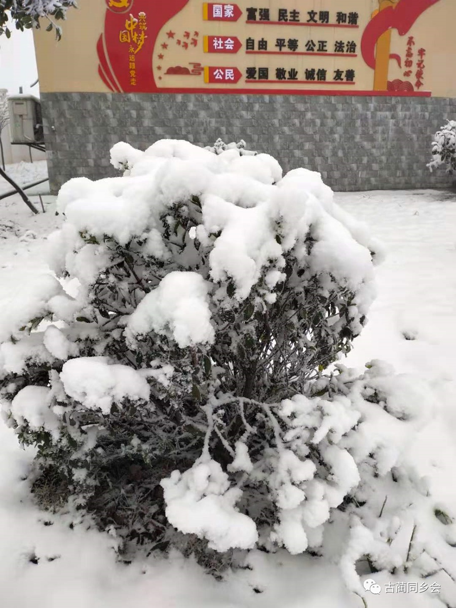 一步一景，满眼惊喜！泸州多地迎来降雪-20.jpg