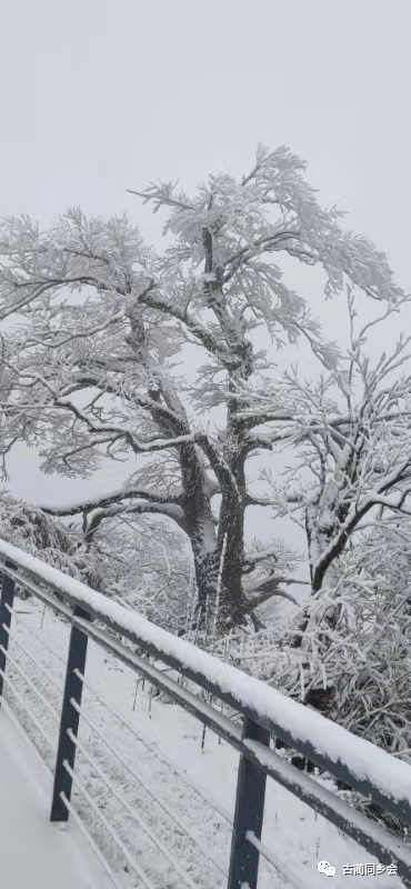 一步一景，满眼惊喜！泸州多地迎来降雪-23.jpg
