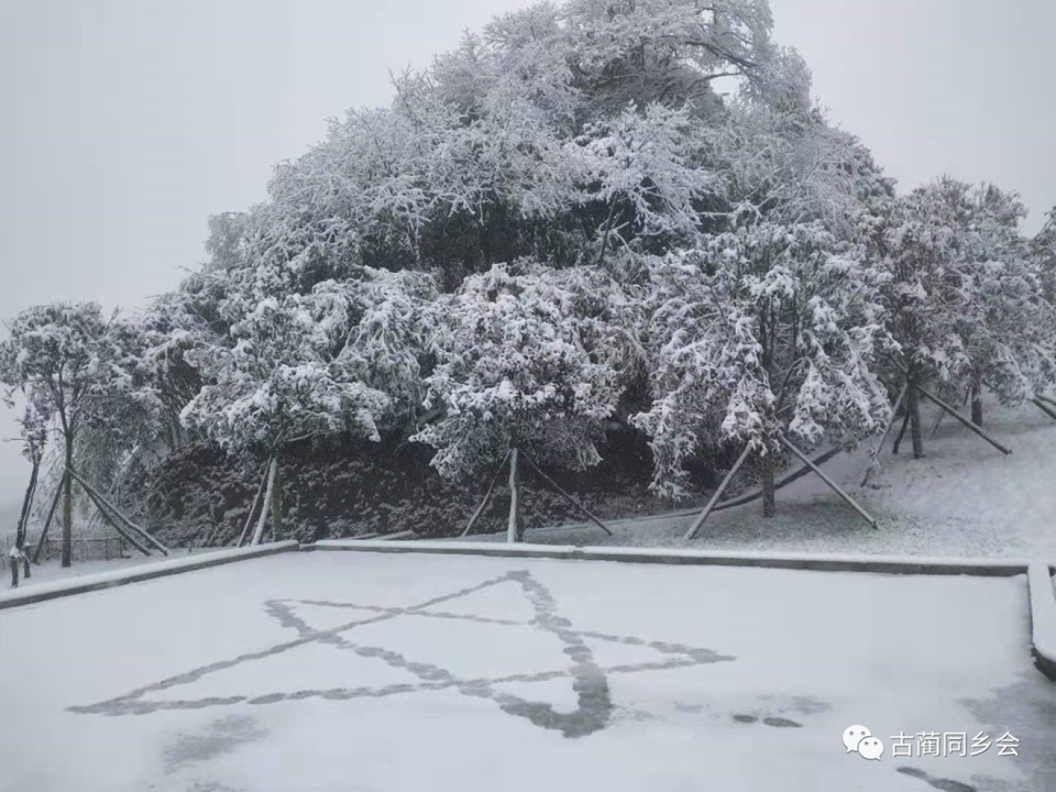 一步一景，满眼惊喜！泸州多地迎来降雪-26.jpg