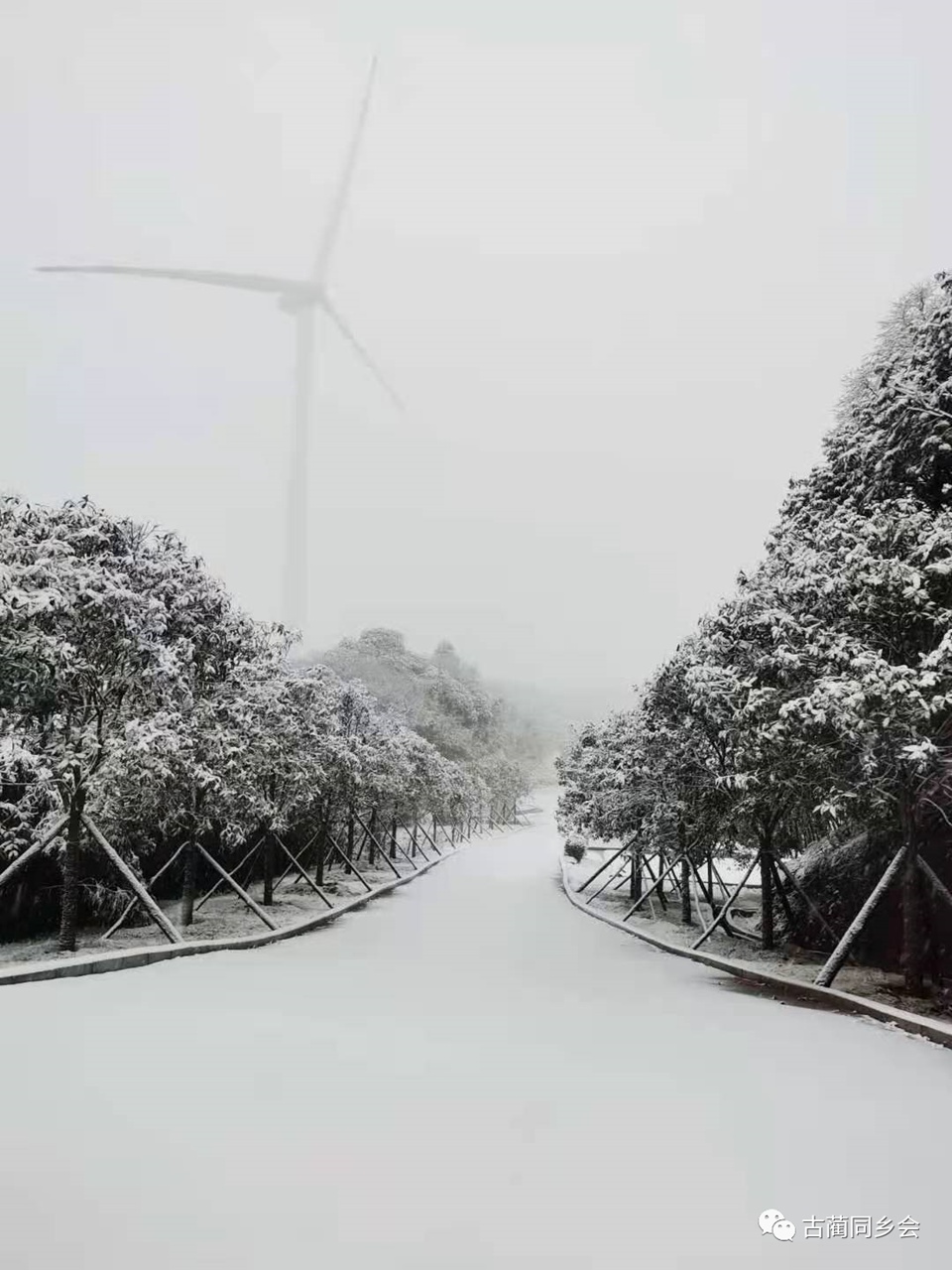 一步一景，满眼惊喜！泸州多地迎来降雪-24.jpg