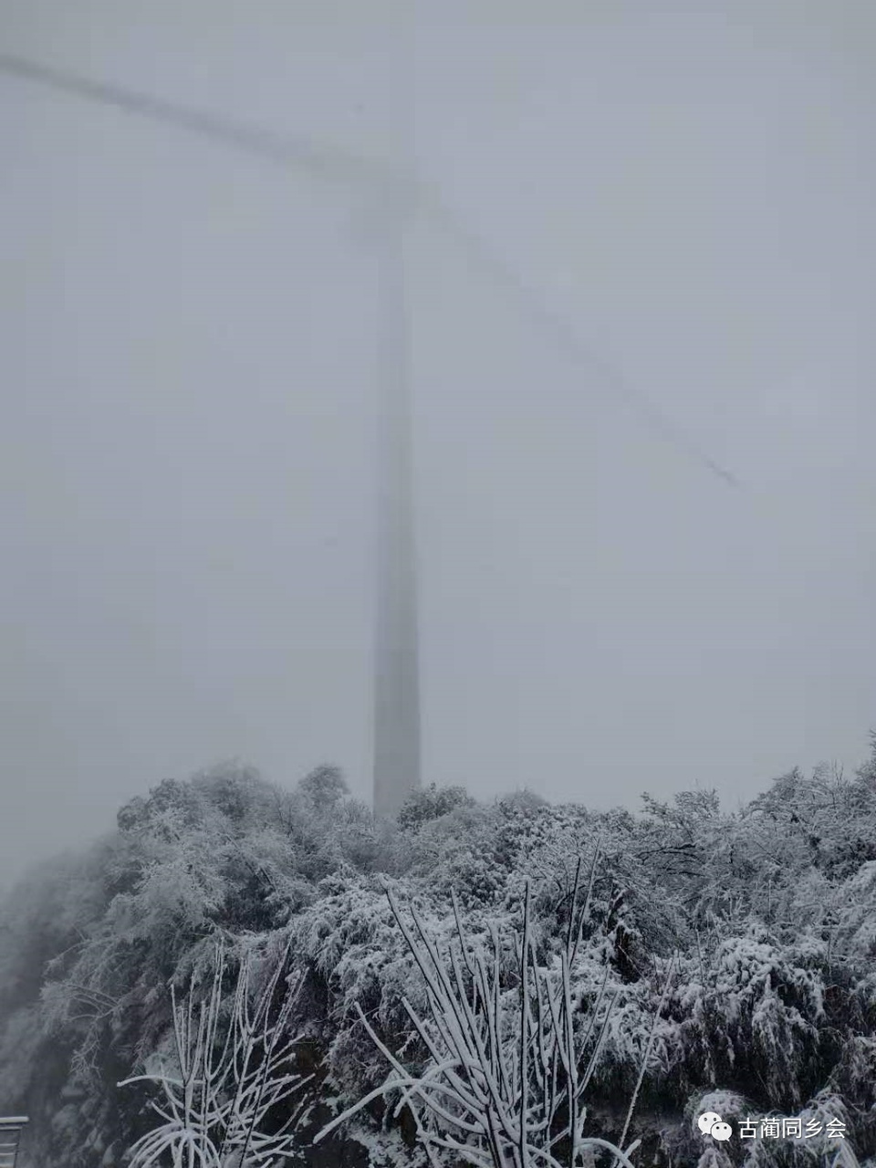 一步一景，满眼惊喜！泸州多地迎来降雪-25.jpg