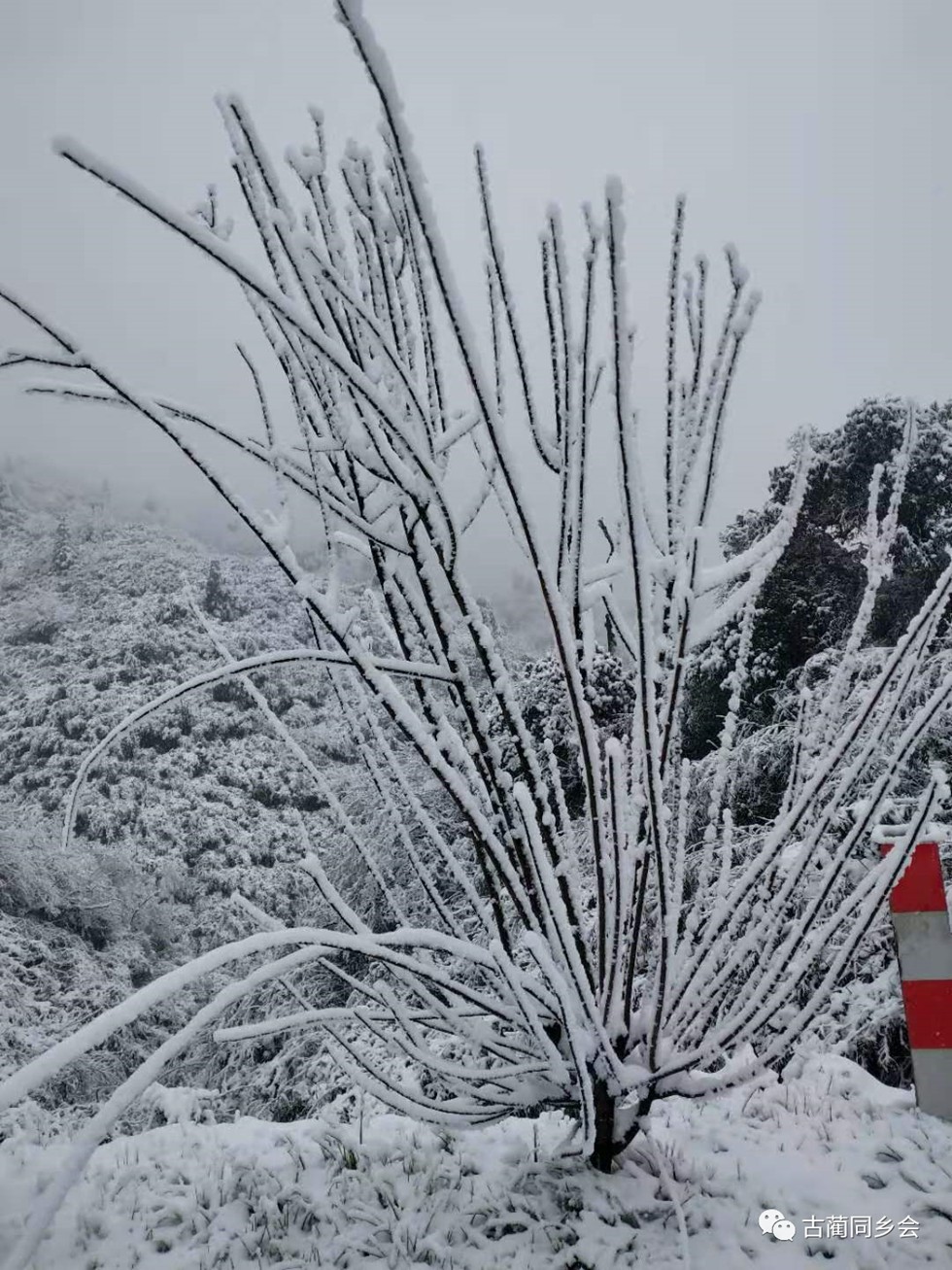 一步一景，满眼惊喜！泸州多地迎来降雪-27.jpg