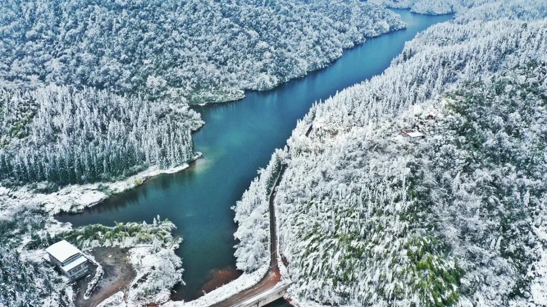 泸州红龙湖森林公园下雪了，多图实拍！-4.jpg