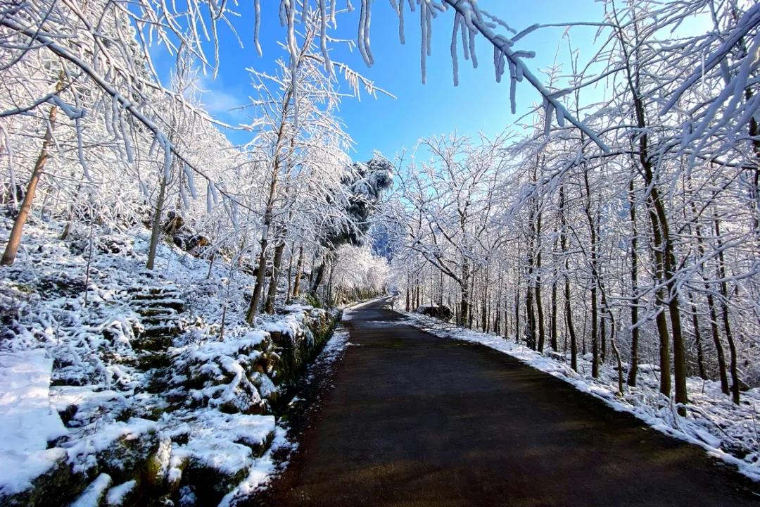 泸州红龙湖森林公园下雪了，多图实拍！-5.jpg