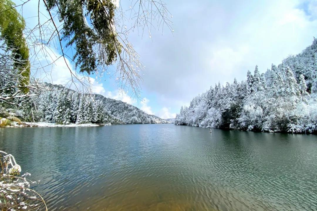 泸州红龙湖森林公园下雪了，多图实拍！-6.jpg