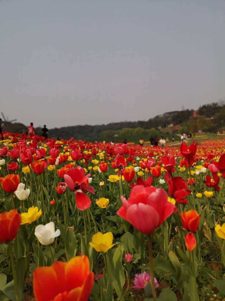 泸州花田酒地一日游-4.jpg