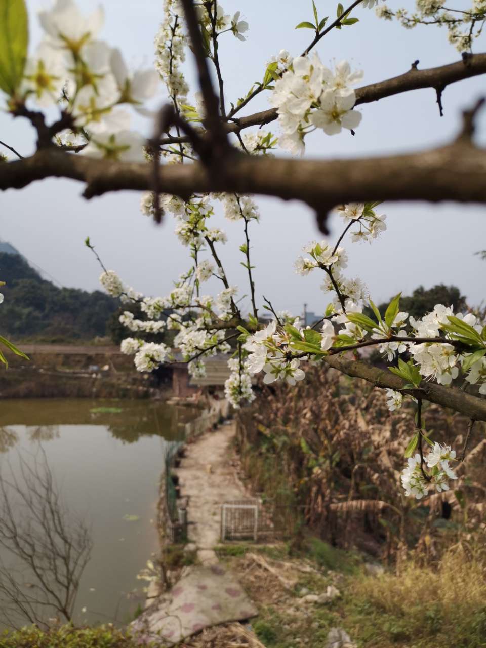 泸州花田酒地一日游-10.jpg