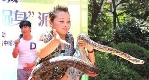 泸州一夫妻买17条蟒蛇表演6条死亡，获刑10年和5年6个月-1.png