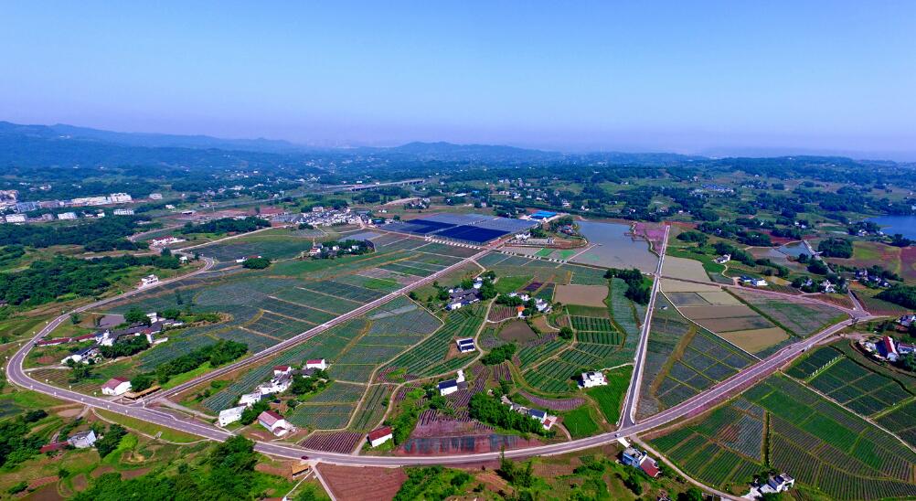 赏花、踏青、采摘…四川省（春季）乡村文化旅游节-1.jpg