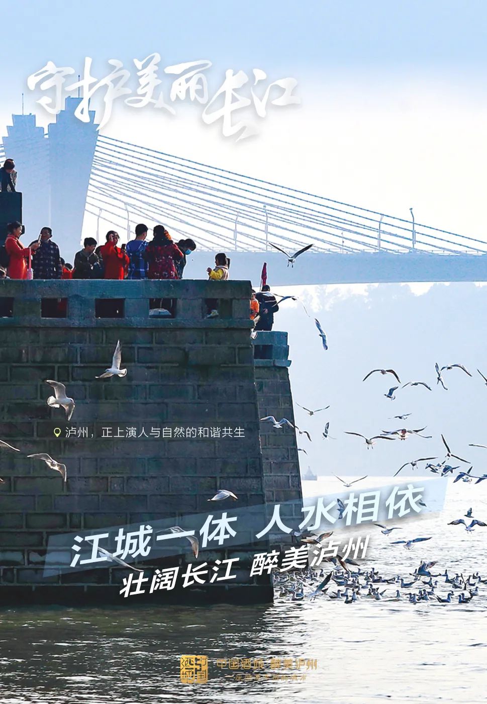青山绿水共为邻，泸州守护一江清水向东流-6.jpg