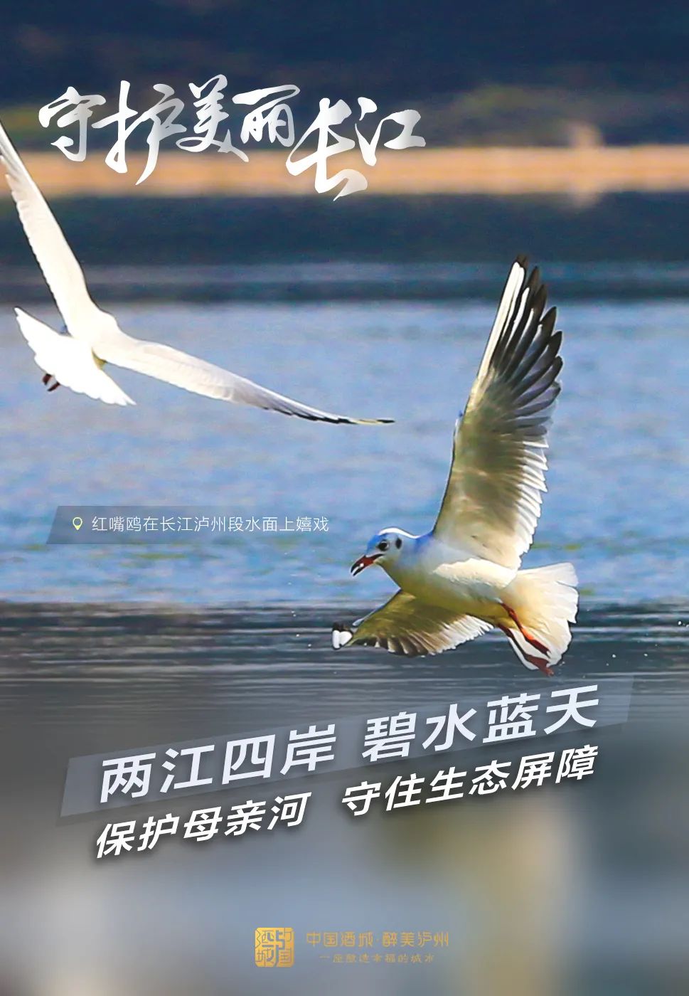 青山绿水共为邻，泸州守护一江清水向东流-4.jpg
