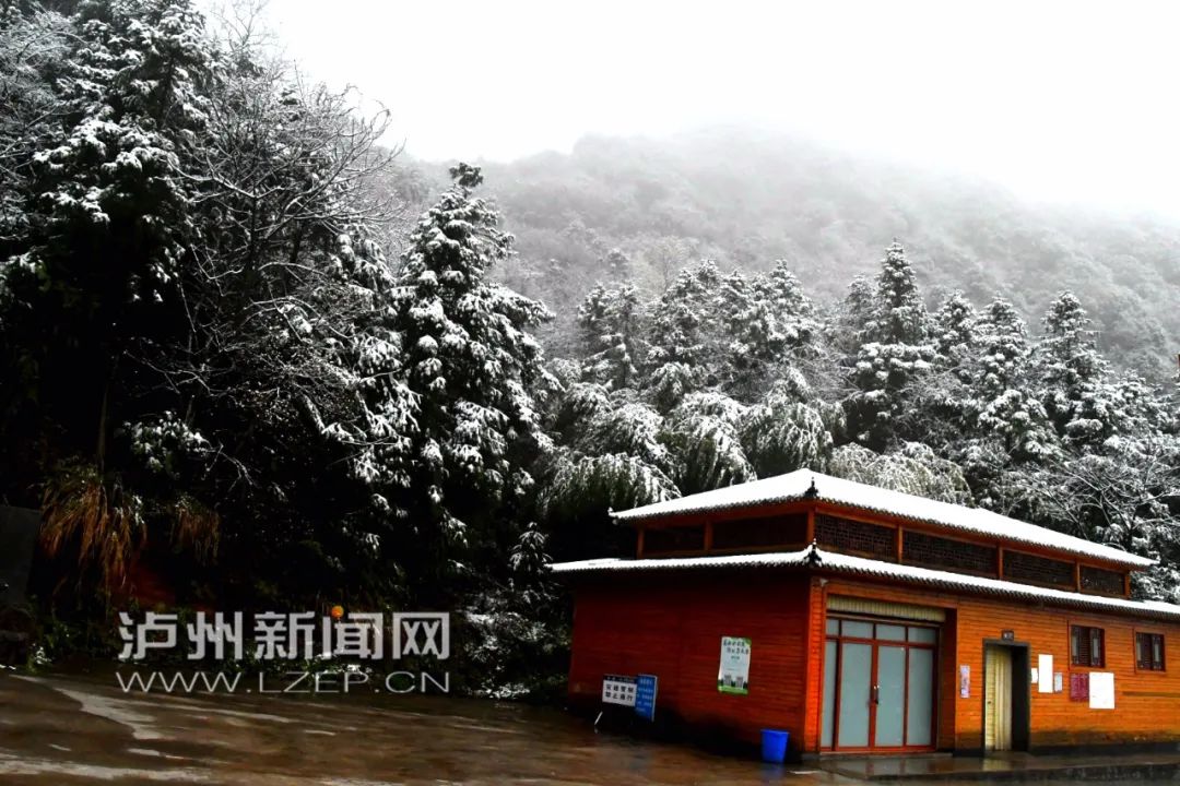 你见过大雪纷飞的三月吗？“倒春寒”如约而至，泸州这些地方下雪了…-9.jpg