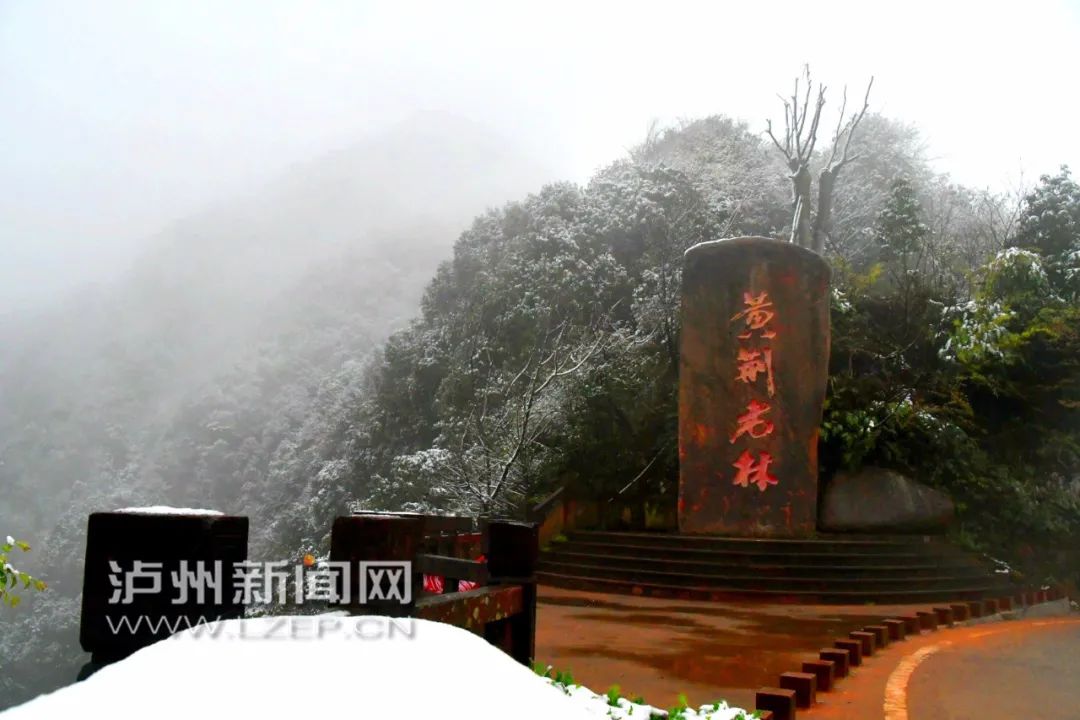 你见过大雪纷飞的三月吗？“倒春寒”如约而至，泸州这些地方下雪了…-8.jpg
