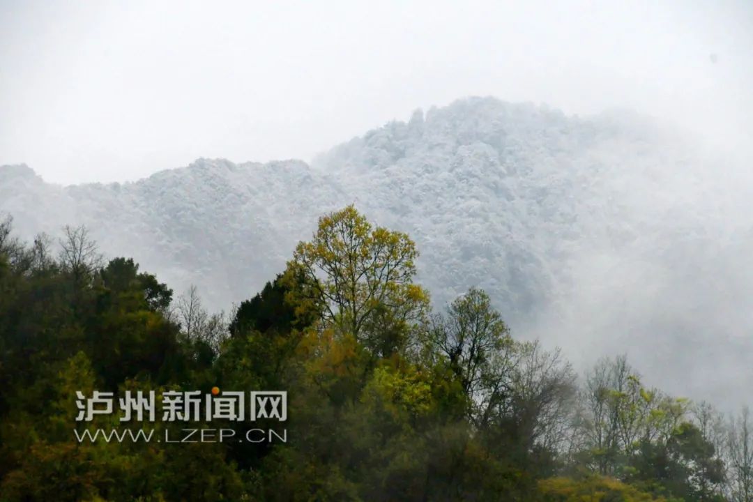 你见过大雪纷飞的三月吗？“倒春寒”如约而至，泸州这些地方下雪了…-13.jpg