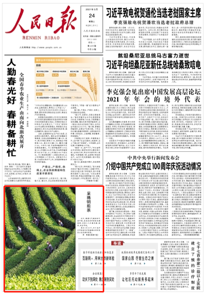 美出圈！《人民日报》两次聚焦泸州春景，打包给你~-1.jpg