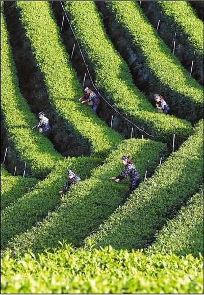 美出圈！《人民日报》两次聚焦泸州春景，打包给你~-2.jpg