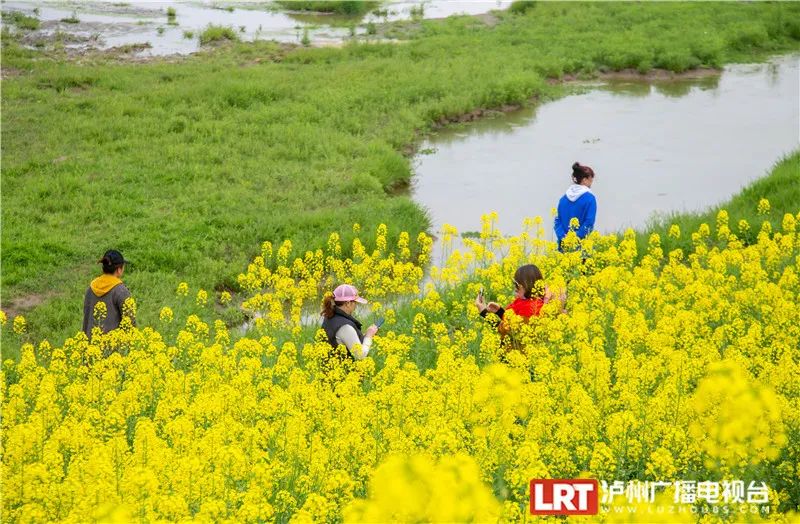 美出圈！《人民日报》两次聚焦泸州春景，打包给你~-14.jpg